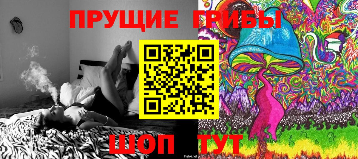 Галлюциногенные грибы ЛСД Семилуки